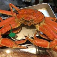 う越貞 - 間人の蟹（1.6kg）