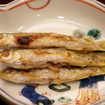 赤坂 詠月 - ホンモロコ