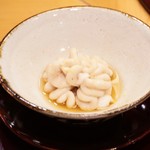 赤坂 詠月 - 白子