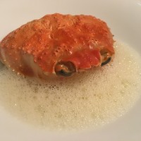 セルサルサーレ - 