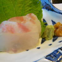 京懐石とゆば料理 松山閣 JR京都伊勢丹店 - 