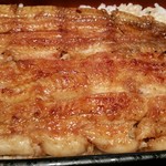 鰻、ズームアップ。