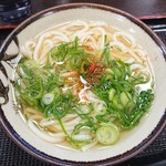 駅一食堂 とくやま - かけうどん