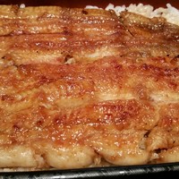 五代目 野田岩 麻布飯倉本店 - 鰻、ズームアップ。