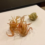 まつむら - さいまき海老の脚の素揚げと、フキノトウの天麩羅