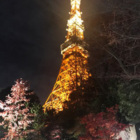東京 芝 とうふ屋うかい - 入口付近からの写真