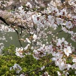 カナルカフェ - 