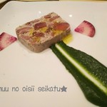 ガストーラ - テリーヌ