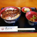 炭火焼うなぎ 東山物産 - うな丼（小）