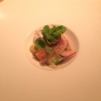 NOBU TOKYO - 