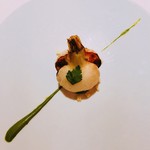 レフェルヴェソンス - 