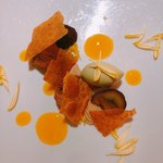 レフェルヴェソンス - 