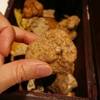 マルゴット エ バッチャーレ - 