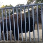 ホテルウエルシーズン浜名湖 - 