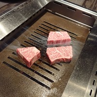 肉匠 コギヤ 宴庭  - 