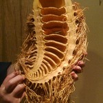 日本料理 たかむら - 