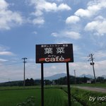葉菜Cafe - 