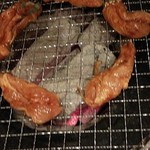 Shichirin Yakiniku An An - 激辛せせりの舞