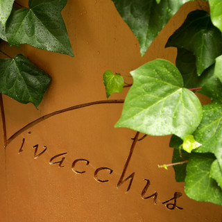 Vivacchus - 