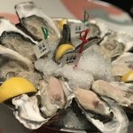 Oyster Bar ジャックポット - 