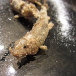 レストラン バカール - 稚鮎のフリットＵＰ