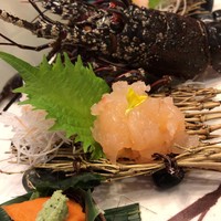 中納言 千日前味楽館 - 活伊勢エビ刺し