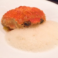 セルサルサーレ - 