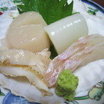 ・・・ - ホタテ、イカ、ソイ