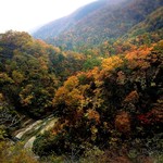 山のごはんよもぎ - 帰り道。山間の紅葉をしばし楽しみました♡