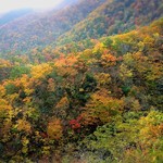 山のごはんよもぎ - 秋に来るべきですね(*′ω`)b