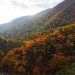 山のごはんよもぎ - 冬以外の奥伊吹の景色を堪能できた一年でした！
      よもぎさんとの出会いに感謝❤︎
      冬の景色はお店のFBで楽しませてもらうことにします(*′ω`)b