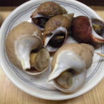 金寿司 - つぶ貝