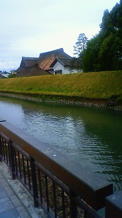 菊屋本店 name=