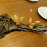 シャトン - 岩泉の食用ほおずき