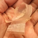 木山 - 黴付きの枯れ節