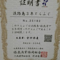 こゝちよ - 