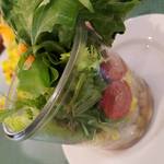 カフェ パンプルムゥス - 「ジャーサラダ」