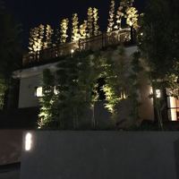 茶禅華 - 2017年12月。再訪