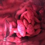 キヨスク - 料理写真:中身