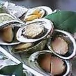 レストラン　つばき - 貝定食