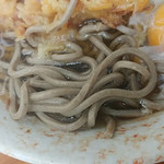 立喰いそば さとう - 麺は太いよ