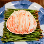 豪龍久保 - 背子蟹