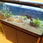 清水まぐろ館　海山 - アクアリウム