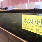 清水まぐろ館　海山 - 生簀