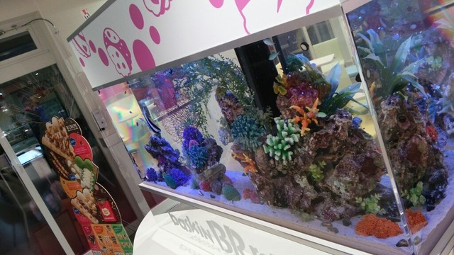 内観写真 サーティワンアイスクリーム 東川口店 東川口 アイス