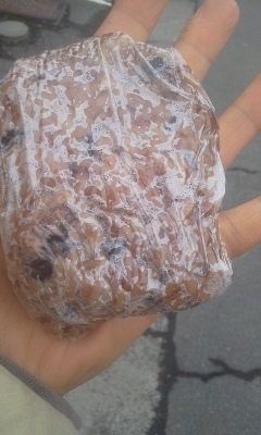 エリナ 八戸 - 本八戸（オーガニック）の写真