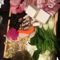 雪梅花 菜根譚 - 