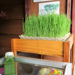 Healthy Juice By Khunkae - 