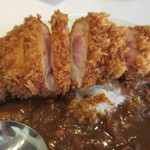 リリーカレー - 揚げ立ての香り～