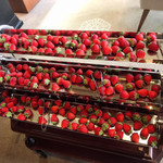 ロビー・ラウンジ - 